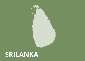 SRI LANKA: If Tocqueville was to read our proposed Anti-Terrorism Act